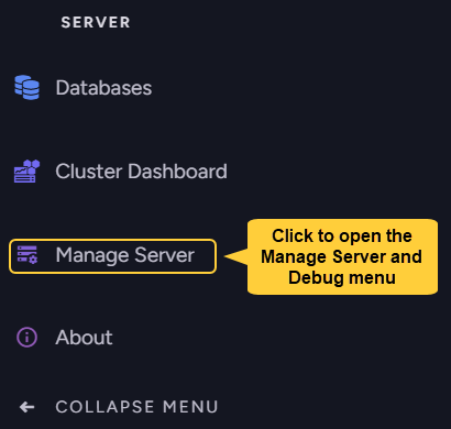 CLick to open the Debug menu