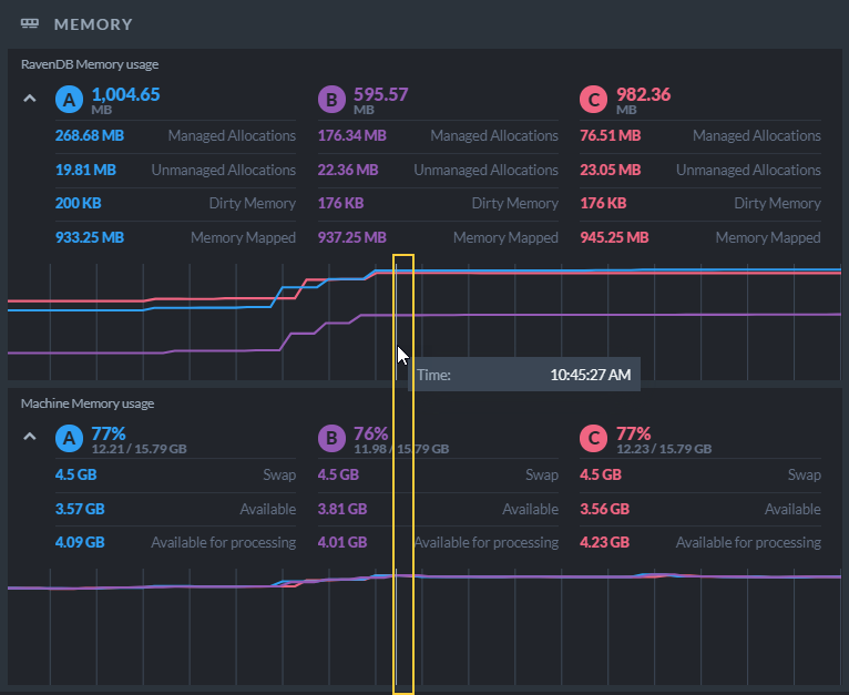 Memory Widgwt - Additional Statistics View