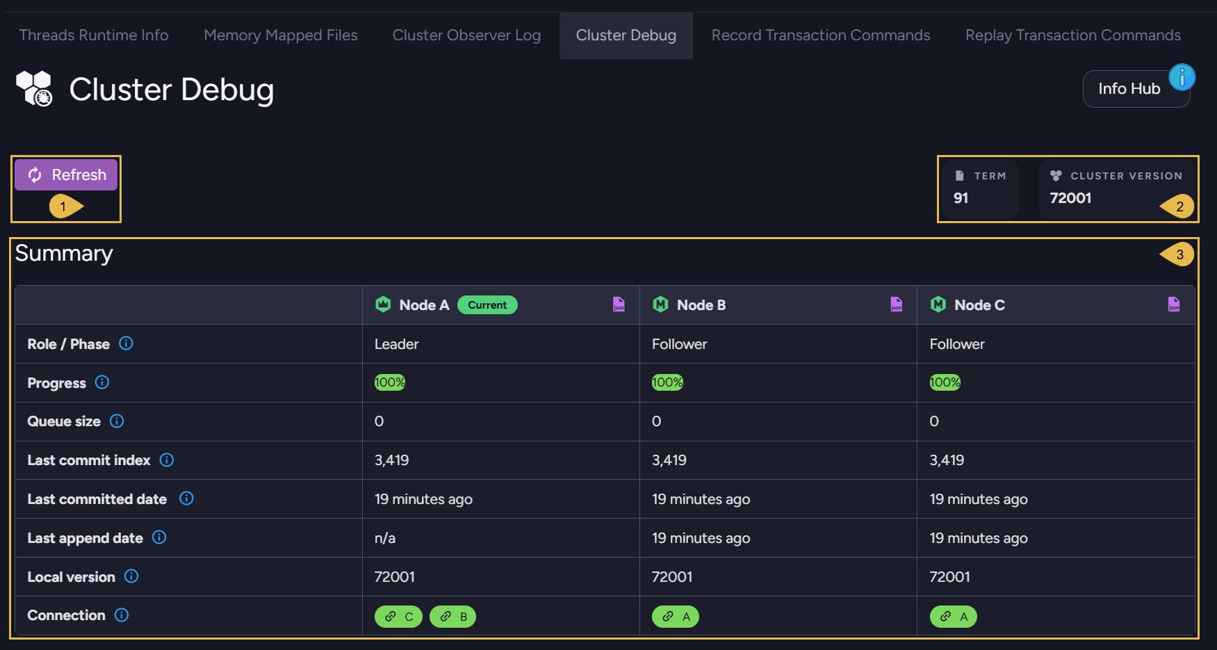 The Cluster Debug tab