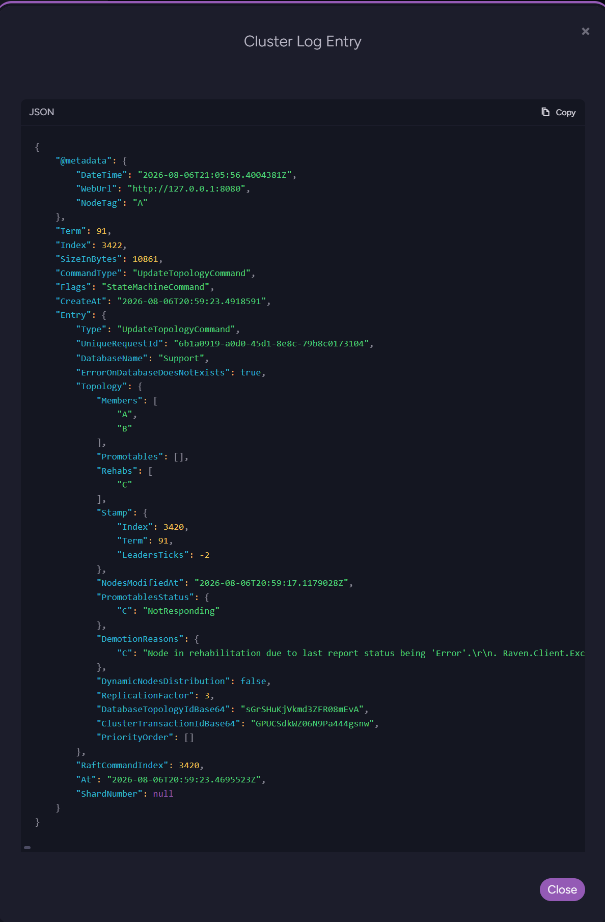 An entry's JSON preview
