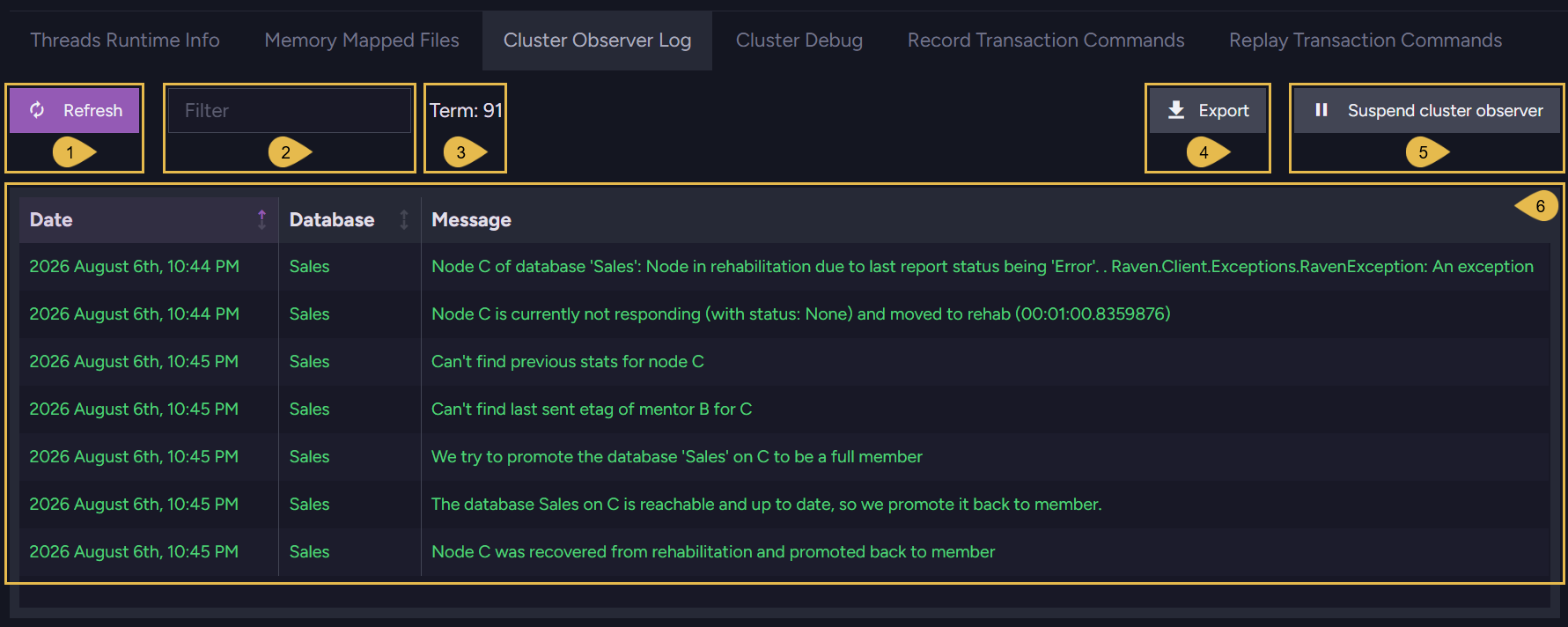 The Cluster Observer Log tab