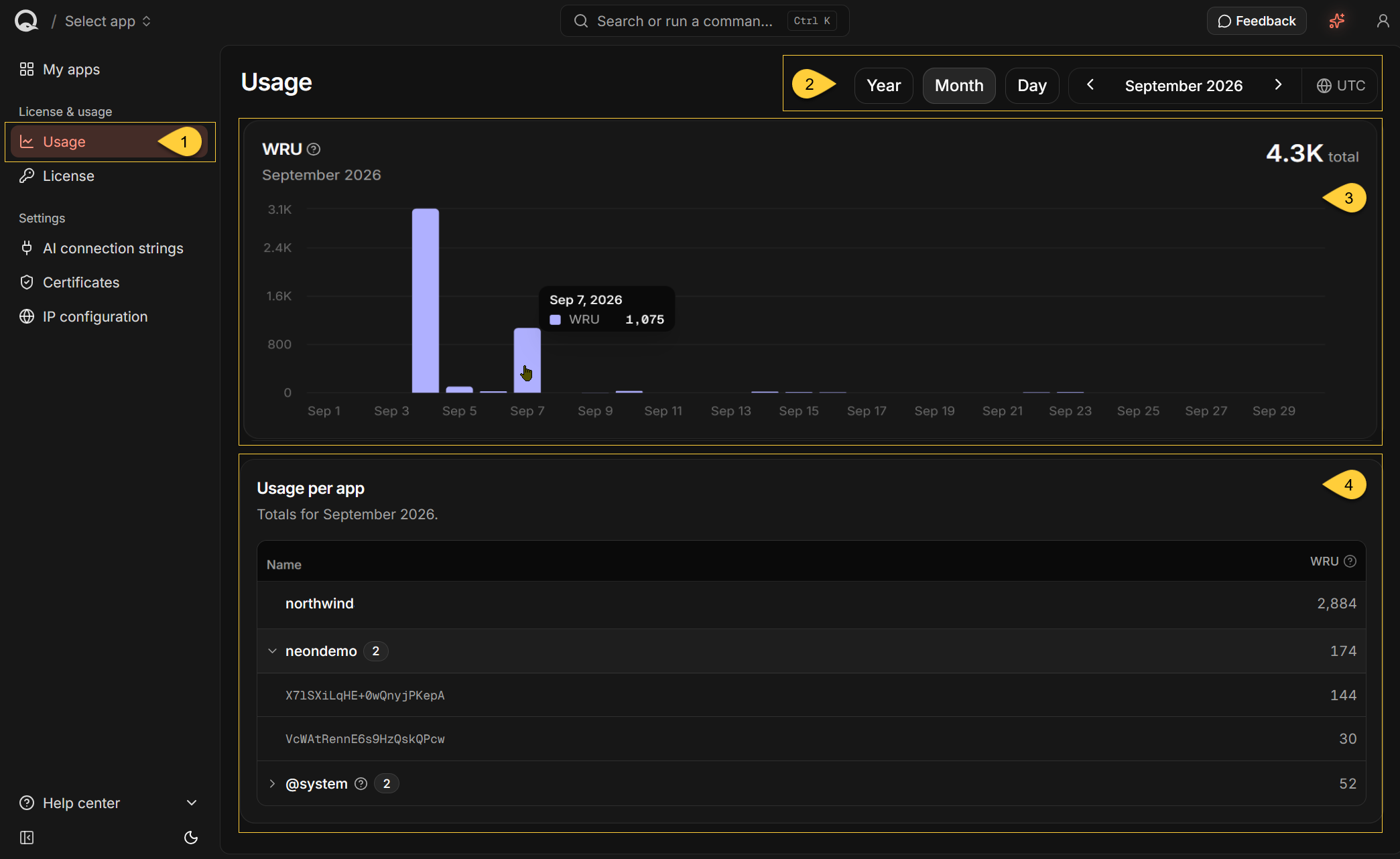 The Usage view
