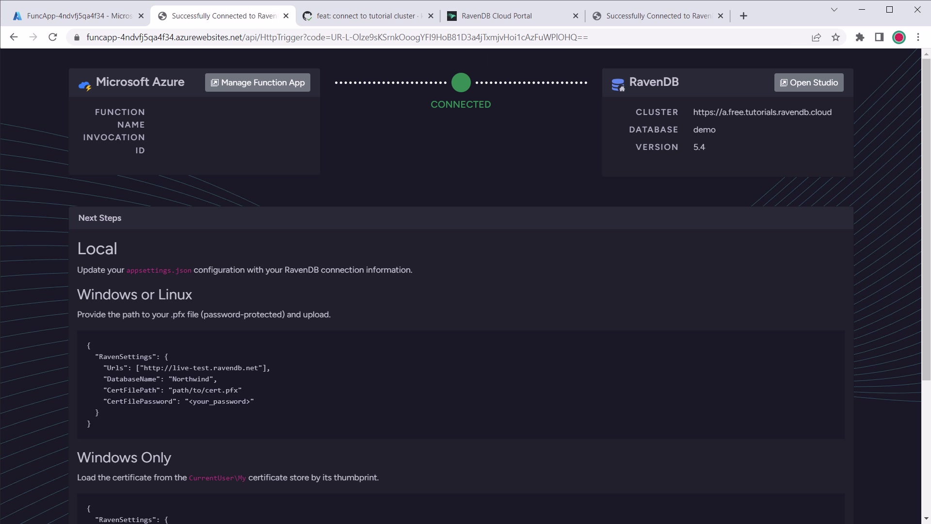 .NET Azure Function welcome connected screen