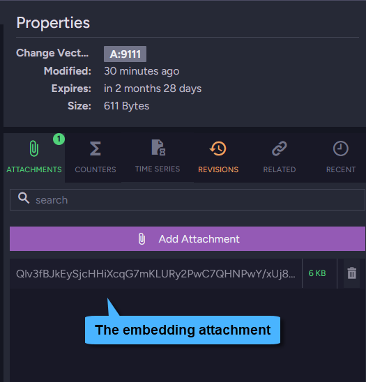 The embeddings cache - attachments