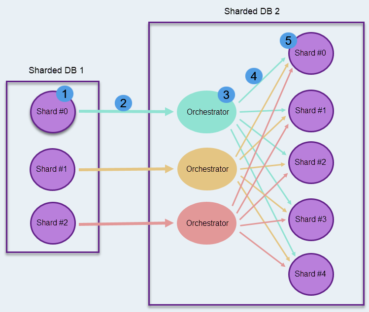 Sharded Database to Sharded Database