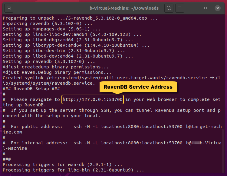 &quot;Install RavenDB&quot;