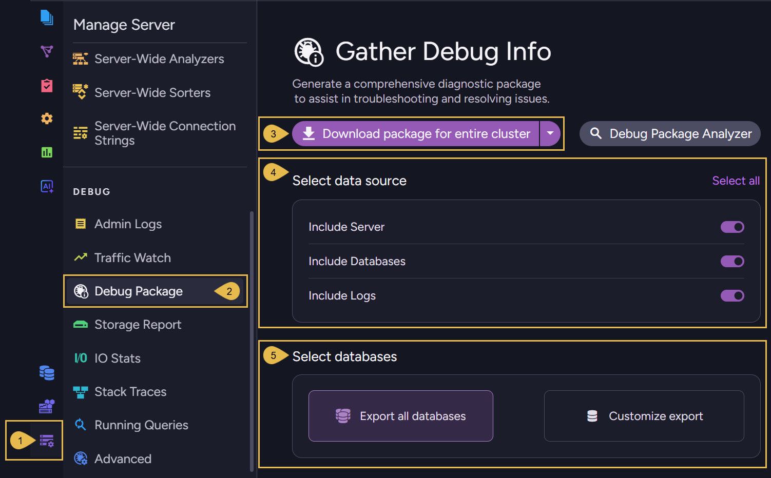Gather Debug Info view