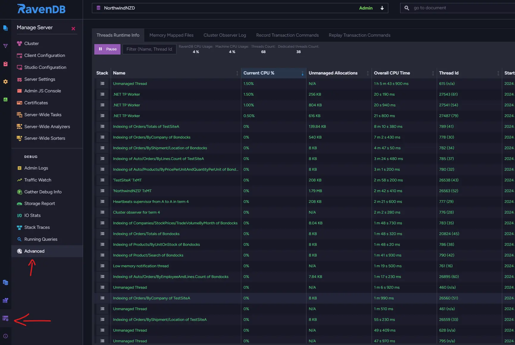 RavenDB Studio Manage Server Advanced view with the Debug section and Advanced highlighted