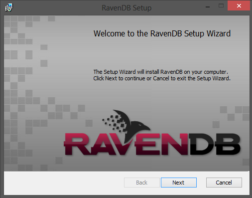Figure 1: Welcome screen
