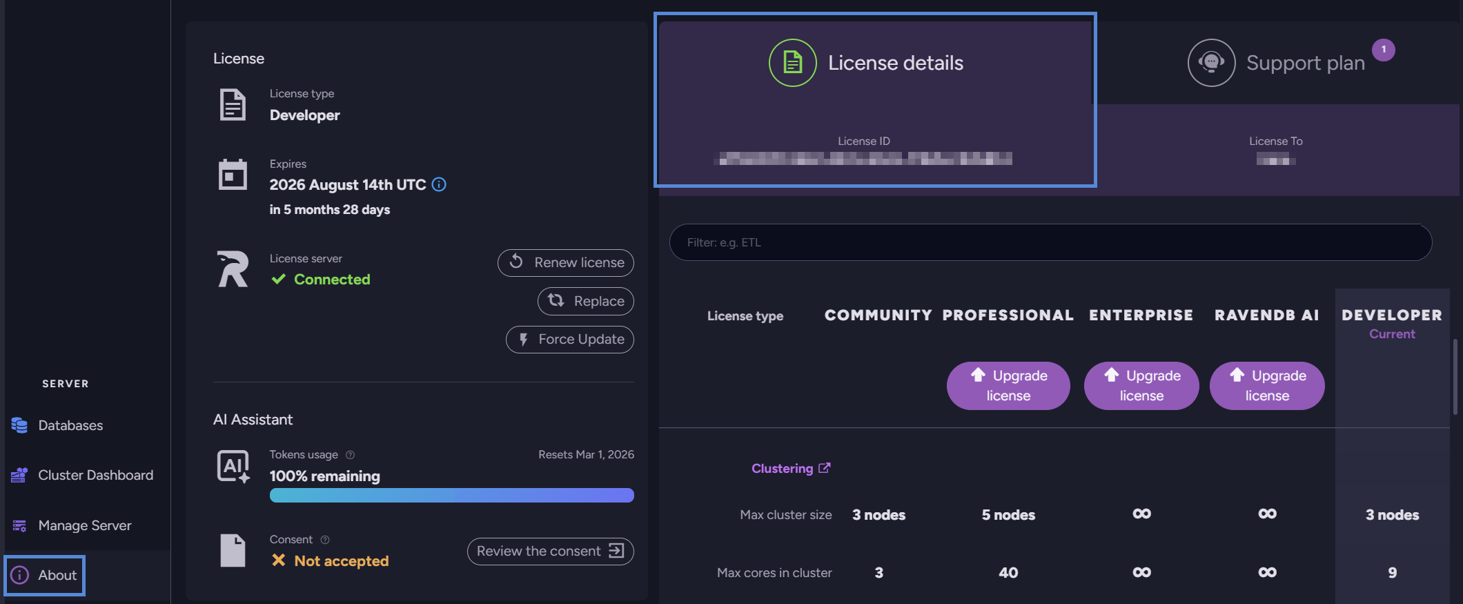 About view: Licensed Server