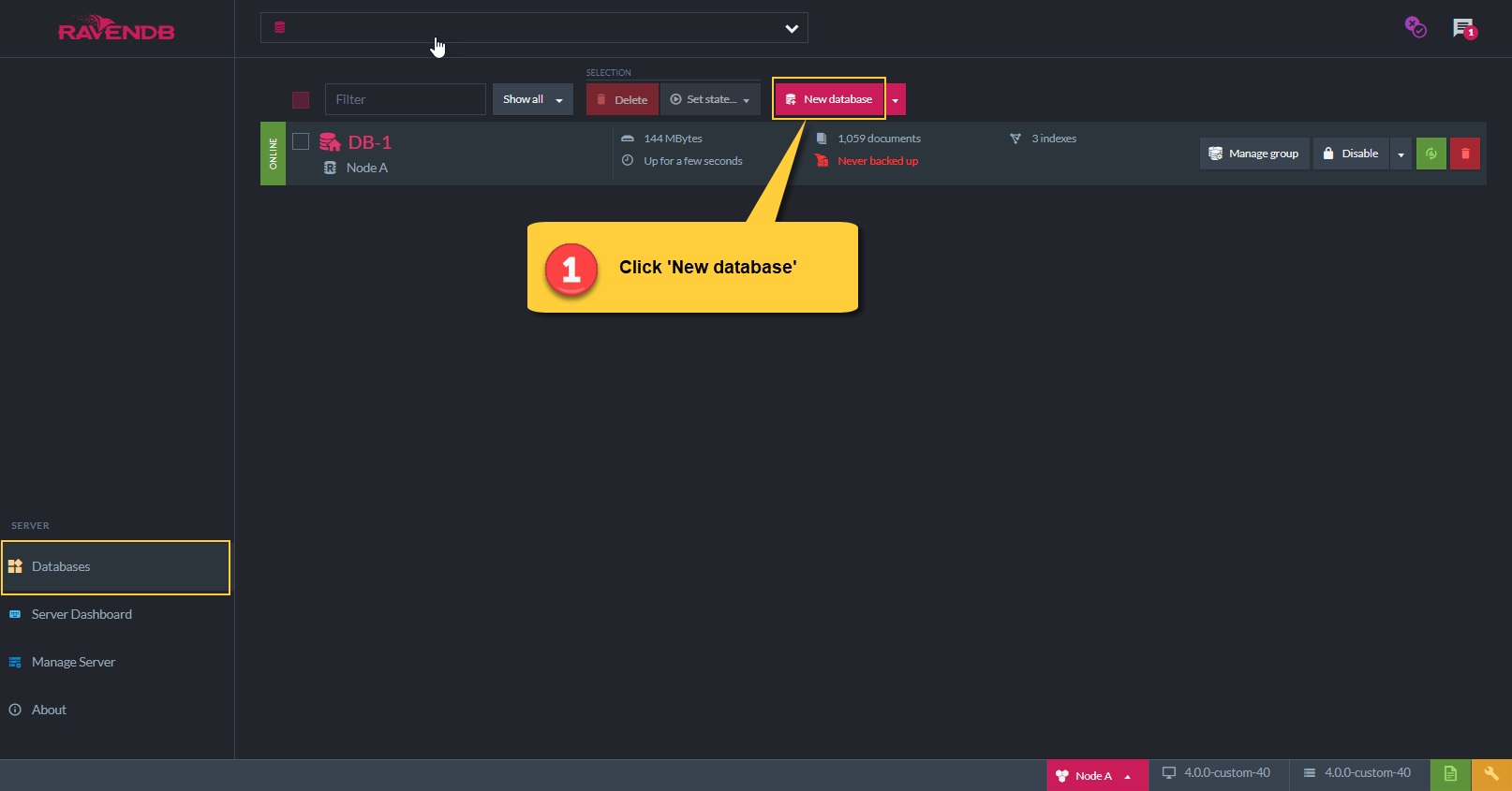 Figure 1. Create New Database - Button