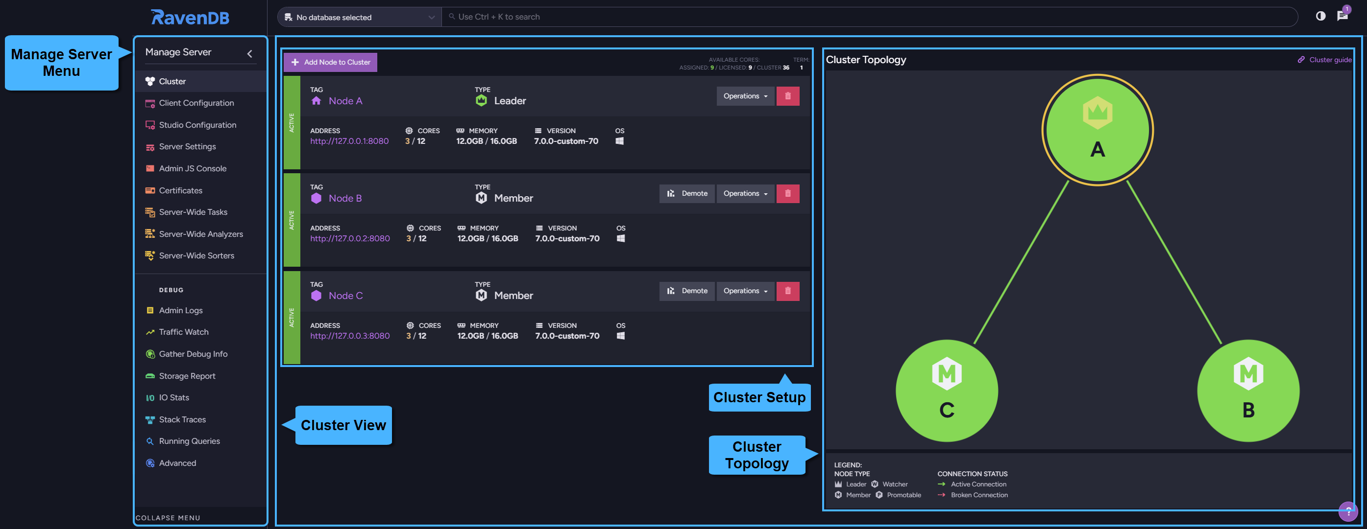 Manage Server menu: Cluster view