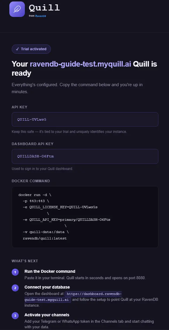 Signup email containing the Docker run command
