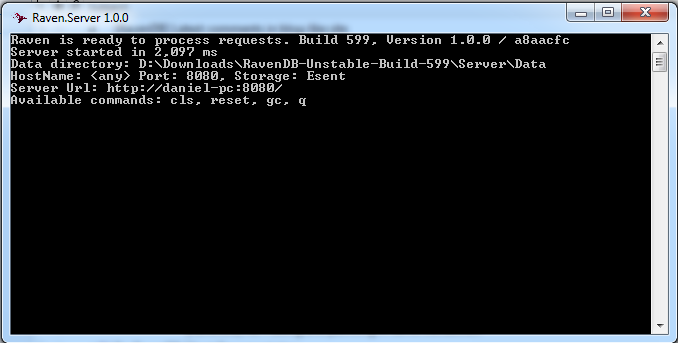 Figure 1: Raven.Server.exe
