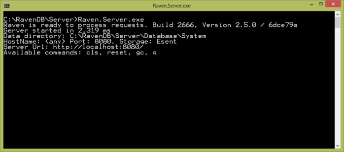 Figure 1: Raven.Server.exe