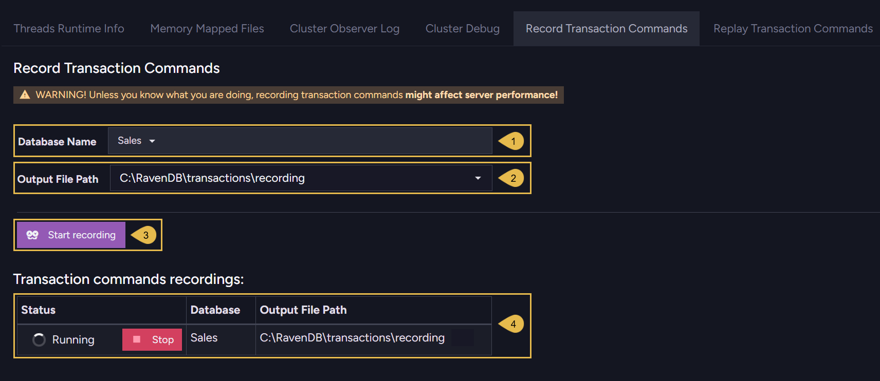 The Record Transaction Commands tab