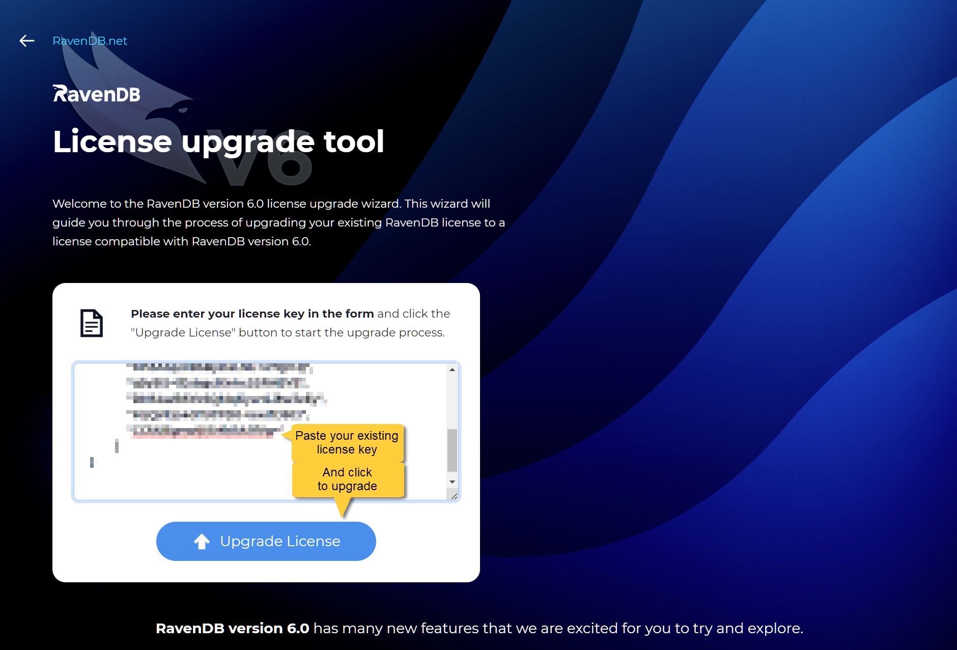 Replace License Tool