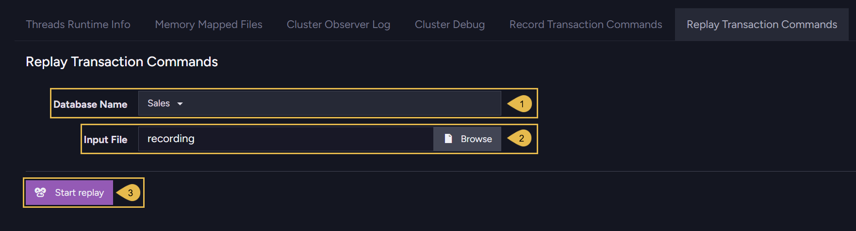 The Replay Transaction Commands tab