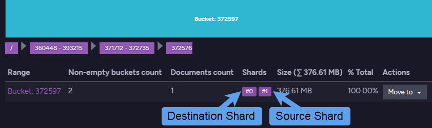 &quot;Document On Two Shards&quot;
