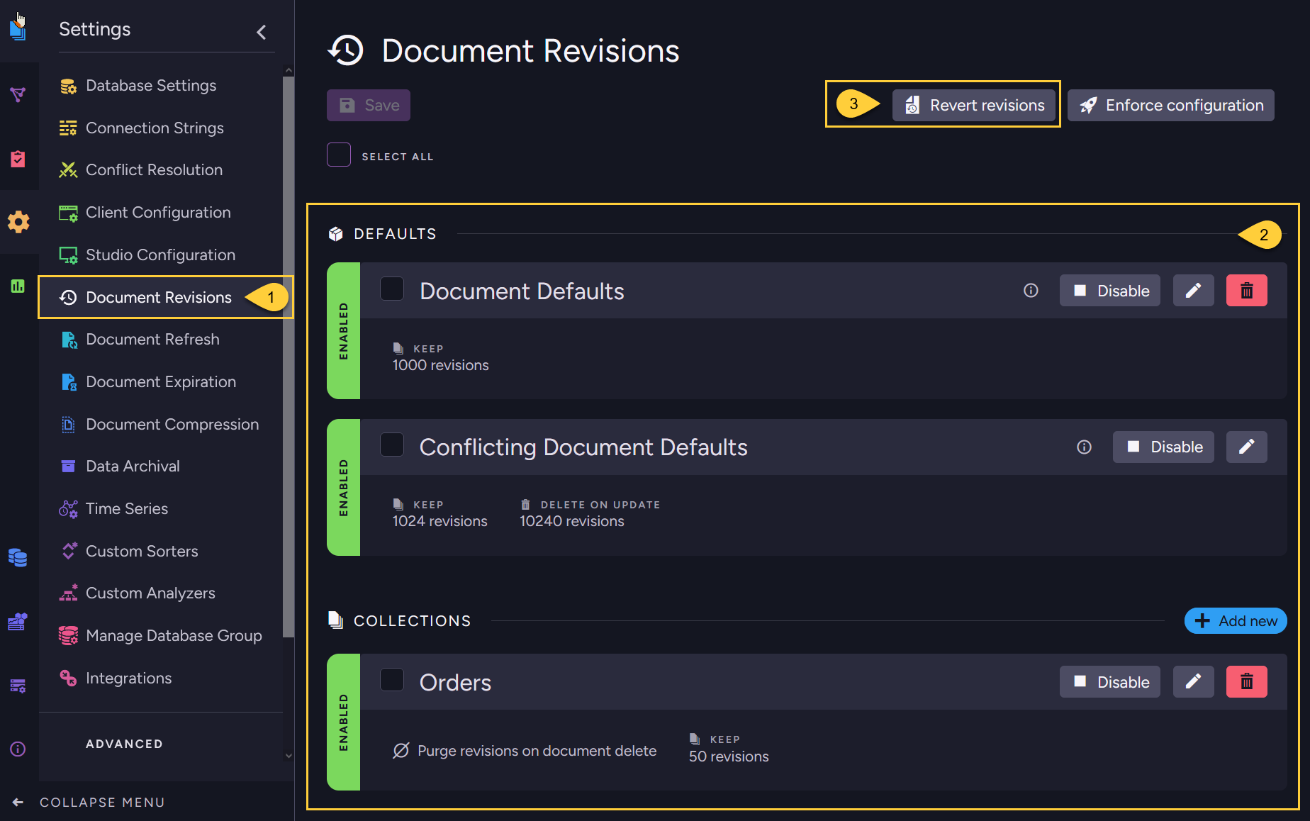 Document Revisions View