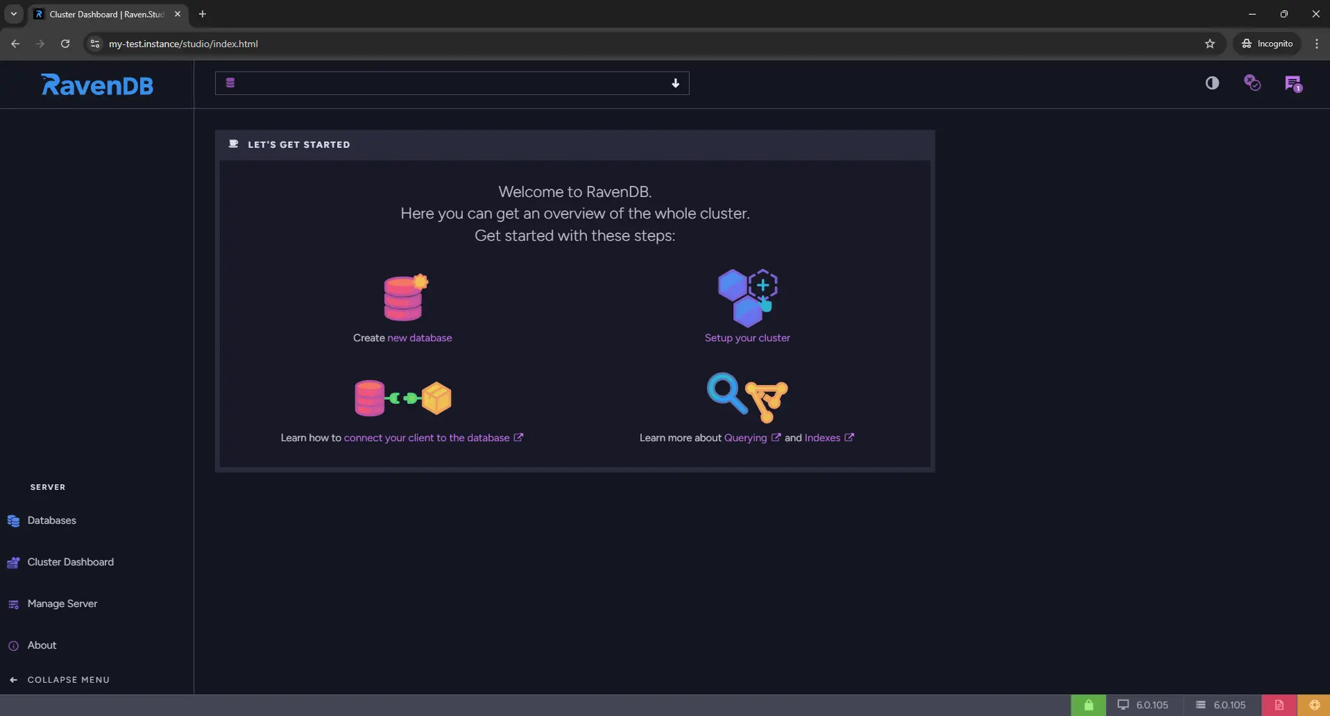 RavenDB Studio login page after connecting via HTTPS