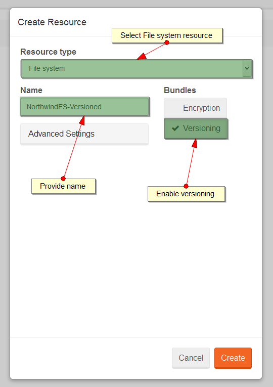 Figure 1. Studio. Versioning. Create file system.