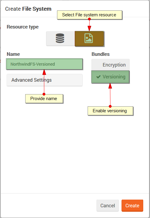 Figure 1. Studio. Versioning. Create file system.